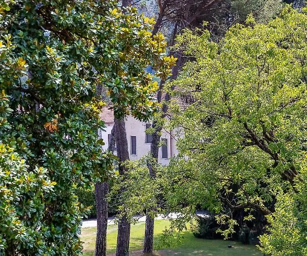Sarchi Bed and Breakfast Grantola