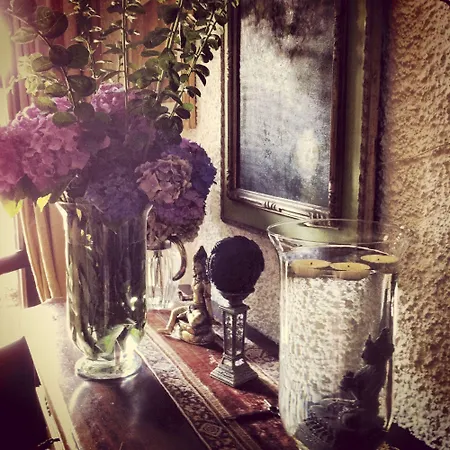 Sarchi Bed & Breakfast 3*